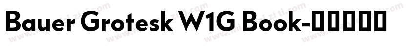 Bauer Grotesk W1G Book字体转换